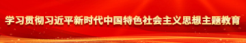 日本黄色视频插进去啊学习贯彻习近平新时代中国特色社会主义思想主题教育