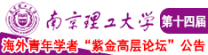 大鸡吧操逼午夜激情南京理工大学第十四届海外青年学者紫金论坛诚邀海内外英才！